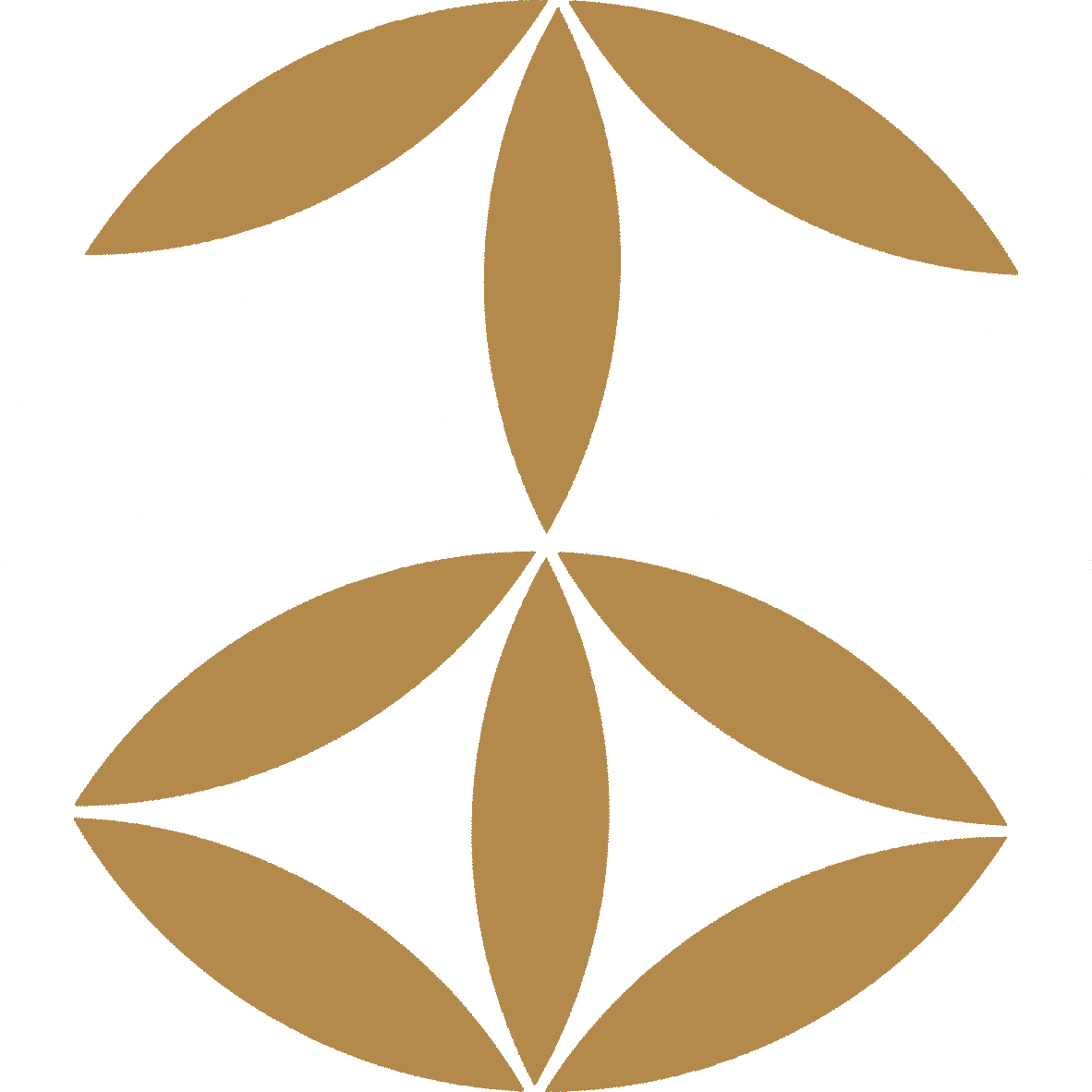 MPA Capital